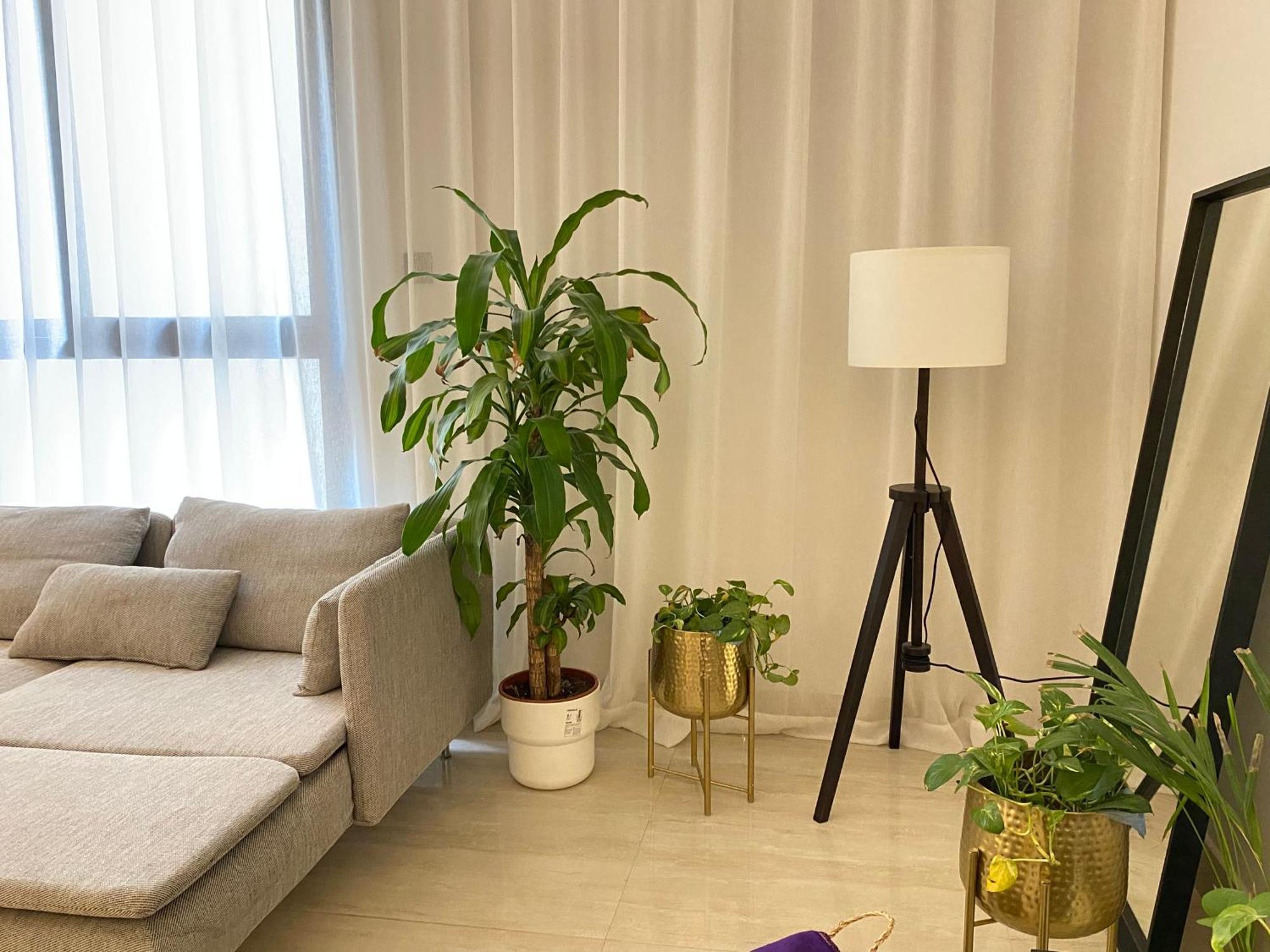 الرياض البوليفارد شقق عبيه Vip الفاخره Exteriér fotografie